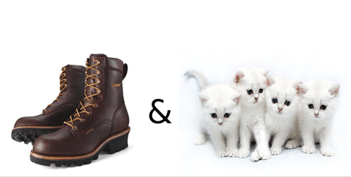 Cats, boots, cat videos, Just for cats, Internet Cat Video Festival, fun, beat box