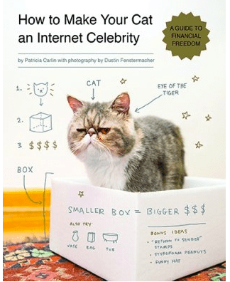Book, cats, how to make cats, internet, star, celebrity