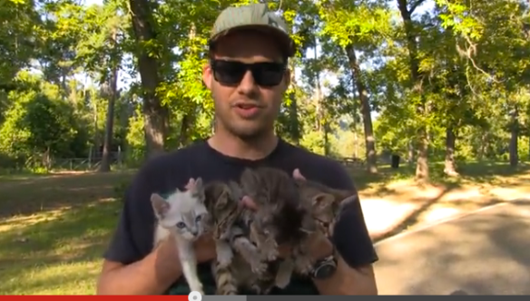 Kittens, rescue, Texas, abandoned kittens