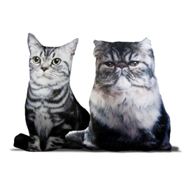 Cats, Persian, Silver Tabby, American Shorthair, British shorthair, Silver tabby, Pillows, home decor