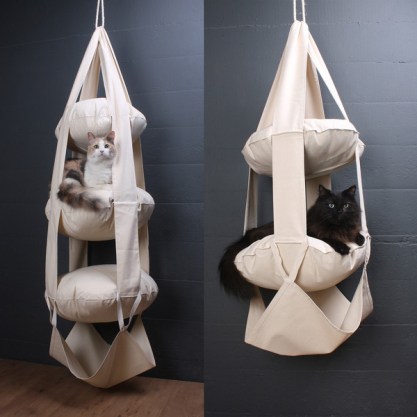 Cat's Trapeze, Haus Panther
