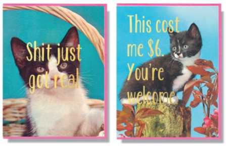 cats, Kittens, Smitten Kitten, theme cards, Toronto based Design, local, fun