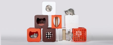 cats. Kitty Kasa, Mango Studio, Arni Foundation USA, Daytona Beach Florida, modules