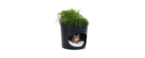 cats, planters, houseplants, pots, cat friendly plants 