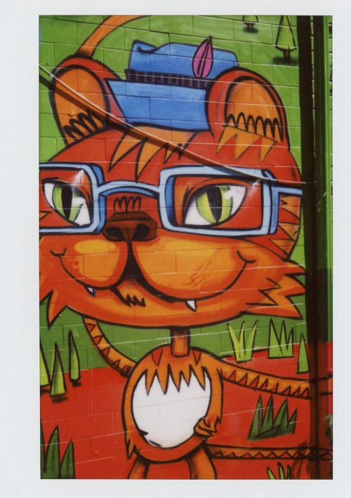 Cats, Graffiti, Art, Felines in Art, Moder Art, Street Art, Cats in Art