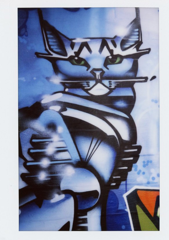 Cats In Art – Cat Graffiti