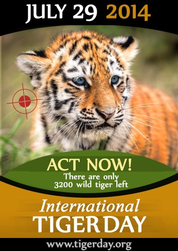 International TIger Day, Tigers, Global TIger Day, July 29 2014, Extinct, China, Tiger skins, Tiger bones, Tiger Trade, Tiger Time, Extinction, Endangered