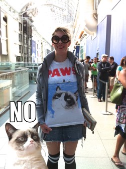 Grumpy Cat, Tardar Sauce, Famous Internet Cats, Cats, Internet Meme, Toronto, Eaton Center, Indigo book store, Grumpy Guide to Life