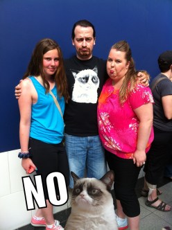 Grumpy Cat, Tardar Sauce, Famous Internet Cats, Cats, Internet Meme, Toronto, Eaton Center, Indigo book store, Grumpy Guide to Life