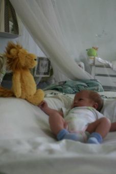 Baby, Africa, Lions, Rob Janisch, Jos Janisch 