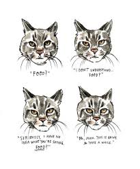 cats, Lost Cat A story of love desperation and GPS Technolgy, Books, Caroline Paul, Missing Cats, Outside cats, Book review, vacation reading, San Francisco