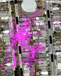 cats, Lost Cat A story of love desperation and GPS Technolgy, Books, Caroline Paul, Missing Cats, Outside cats, Book review, vacation reading, San Francisco