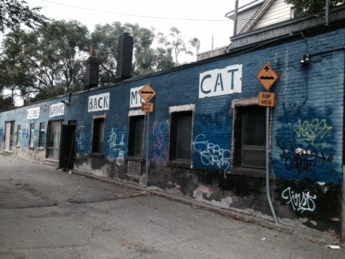 Cats, Black cats, Catnapped, Lets talk about your cat, cat stories, rescue, stray cats, adoption, Toronto