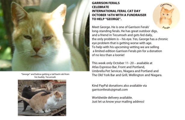 cats, kittens, feral cats, Alley Cat Allies, TNR, Trap-Neuter-Release, stray cats, October 16, Spay, Neuter, Volunteer with cats, community helping animals, Compassion for cats, Feral Cat Day Toronto, Toronto Humane Society, Toronto Cat Rescue, Garrison Ferrals, Toronto, Toronto Feral Cat TNR Coalition, Garrison Fersals George Flyer