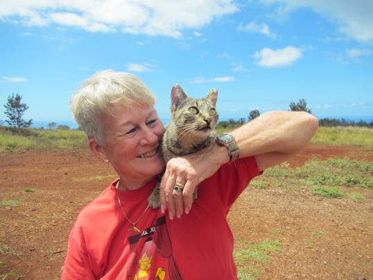 cats, Kittens, Hawaii, Hawaiian Islands, Lanai, Lana Animal Rescue Center, LARC, stray cats, Kathy Carroll, Travel, Volunterring in Hawaii, Adopt cats in Hawaii, cat paradise, cat rescue in Hawaii