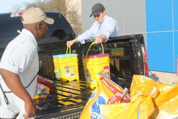 cats, dogs, Animal Shelters, Dallas Animal Shelter, Giving Tuesday, Donations, cat litter, giving back, Bryce Vucekovich