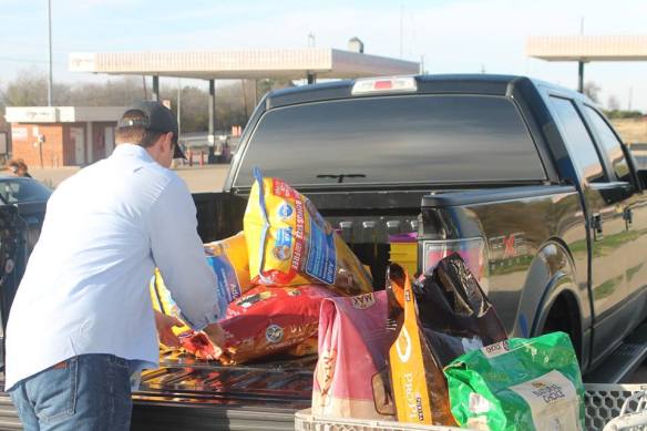 cats, dogs, Animal Shelters, Dallas Animal Shelter, Giving Tuesday, Donations, cat litter, giving back, Bryce Vucekovich