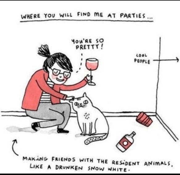 drink with cats cartoon