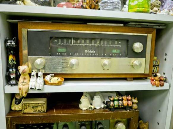 cats, kittens, bookstores , bookstore cats, Hong Kong, Sam Kee Book Company, Saving homeless cats, Community helping cats, Travel,