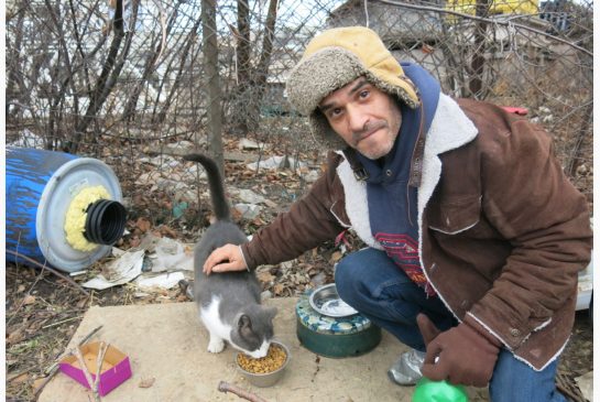 cats, Cat men, Toronto, Homeless cats, feral cats, stray cats, cat crisis in Toronto, Adopt, spay and neuter cats, responsible cat ownership, don't dump cats, unwanted cats, A man making a difference for cats in Toronto, Hero for cats, kittens,Toronto Humane Society, Toronto Animal Services, Free spay neuter clinic, cat colony caretakers, Helder Da Silva