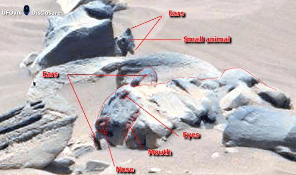 Cats in space, Life on Mars, UFO, Ancient Aliens, Cats, Cats on Mars, Mars Rover, Curiosity Rover, Cat Statue on Mars, I want to Believe, Face, alien, aliens, moon, lunar, surface, evidence, building, structure,  ancient egypt, statue 