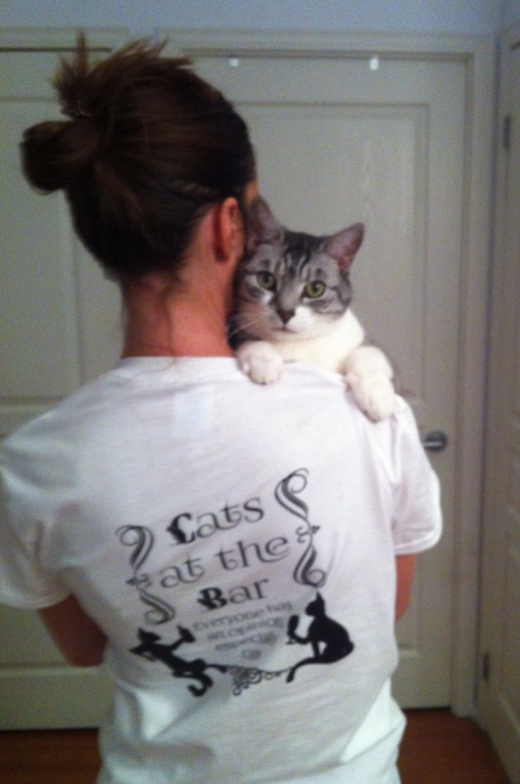 Toronto Animal Services, Adoptable cats, Tsuki, Cats at the Bar, Cat Blogs, Canadian Cat blogs, Orange Tabby Cats, Tsuki Whisker Counter Winner, t shirt contest, Purr and Roar, cats, rescue cats, Spinner my rescue cat, Silver Tabby, Toronto Animal Services