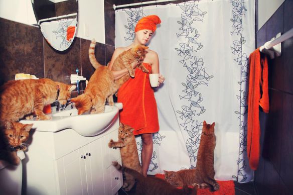 cats, Photography, Andréanne Lupien, Montreal, Quebec, Cat lovers and their cats, black cats, Clone Photography, cat lovers with cats, cat photography,crazy cat lovers , crazy cat ladies, I love cats, Photoshop, Orange Tabby Cats