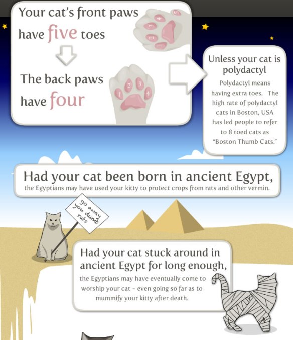 Info graphic, 17 Things worth knowing about your cat, Cats, Cat paws, Things to know about Cats, History of the cat, cat lovers, cats in ancient Egypt, Isaac Newton, Cat flap, Cats see better in the dark, Abraham Lincoln, Cats Purr frequency, Cats can hear ultrasonic sounds, Cats whiskers, Why cats need Taurine, Nikola Tesla, cats can run fast, Cheetahs, domestic cats, The Oatmeal comics, cat cartoons,