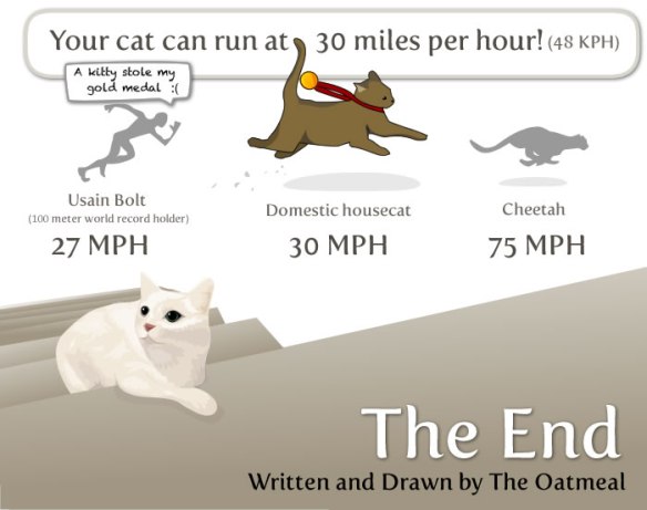 Info graphic, 17 Things worth knowing about your cat, Cats, Cat paws, Things to know about Cats, History of the cat, cat lovers, cats in ancient Egypt, Isaac Newton, Cat flap, Cats see better in the dark, Abraham Lincoln, Cats Purr frequency, Cats can hear ultrasonic sounds, Cats whiskers, Why cats need Taurine, Nikola Tesla, cats can run fast, Cheetahs, domestic cats, The Oatmeal comics, cat cartoons,