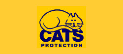 Manifesto for Cats, Cats, Kittens, Cat rescue, Kitten rescue, Homeless cats, Cat Abandonment, animal shelters, cat rescue league, Cats Protection, UK, Cats Protection Feline welfare League,  priorities designed to benefit cats, owners and society as a whole, tighter regulations on licensing air guns and banning use of snares, control breeding and sale of kittens by unscrupulous breeders,  prevent growing number of unwanted cats