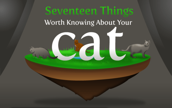 Info graphic, Cats, Things to know about Cats, History of the cat, cat lovers, cats in ancient Egypt, Isaac Newton, Cat flap, Cats see better in the dark, Abraham Lincoln, Cats Purr frequency, Cats can hear ultrasonic sounds, Cats whiskers, Why cats need Taurine, Nikola Tesla, cats can run fast, Cheetahs, domestic cats, The Oatmeal comics, cat cartoons,