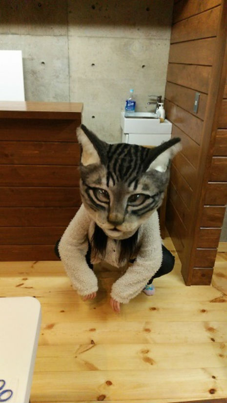 Tabby cats, cats, Japan, Japan school of wool art, Cat masks, Giant cat head masks, Tokyo, Giant Cat Head Mask, Tokyo Metropolitan Art Museum, Art teacher Housetu Sato sewed the giant gray-and-black Tabby head out of wool felt, Made in Japan, Only in Japan, Japans cat obsession, Cat Culture, Art, 