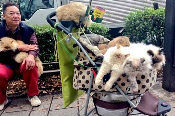 Japan, Cats, Japans Cat man, Japans Cat culture, Cat cafes, Cat Island, Equality for Cats, Masahiko Suga,