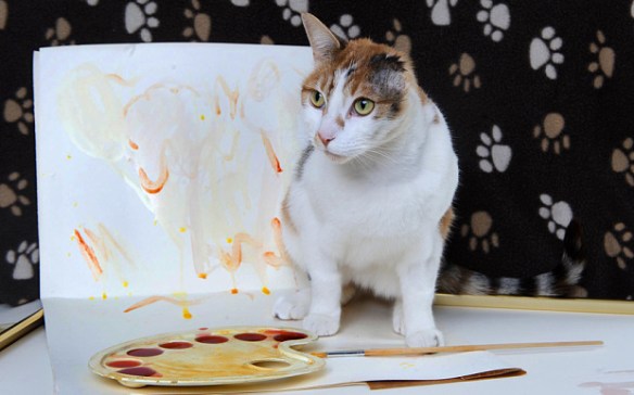 Cats, Rescue Cats, Cats with one Ear, Van Gogh, Van Gogh the cat, Cat that Paints, post-impressionist cat,  Mayhew Animal Home, London, UK, Rescue Cats UK, Adopt cats, Adopt cats in the UK, Special Needs cat