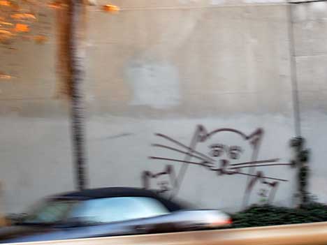 cats, cats in art, cat graffiti, cat graffiti Los Angeles, cat graffiti on freeway overpasses, cats art in California, There are cats everywhere, Cat inspired art, 