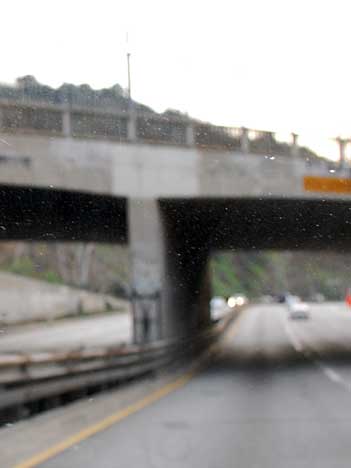 cats, cats in art, cat graffiti, cat graffiti Los Angeles, cat graffiti on the 101 freeway, cats art in California, There are cats everywhere, Cat inspired art, 