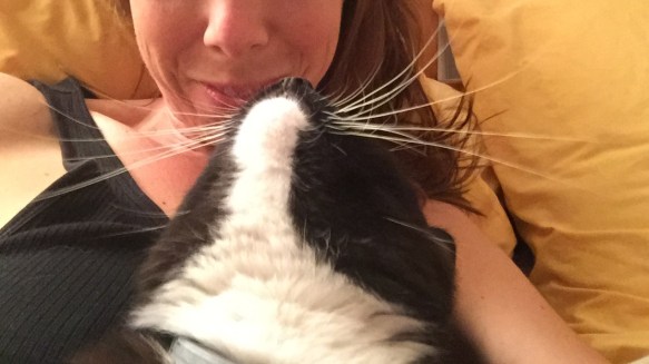 Cats, cats from around the world, Cats in LA, CatConLA, Air bnb, black and white cats, cats and dogs, cats and dogs are friends, cats best friend is a dog, life is better with pets, cats are family