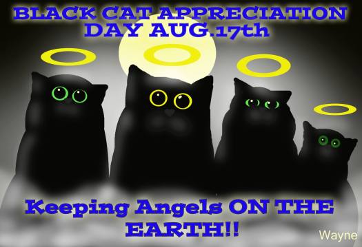 Black Cat Appreciation Day, Black Cats, black cats are awesome, love black cats, meow monday, black cats are good luck, respect black cats, black cat awareness day, adopt black cats, don't overlook black cats when adopting, house panthers, mini panthers, I love black cats