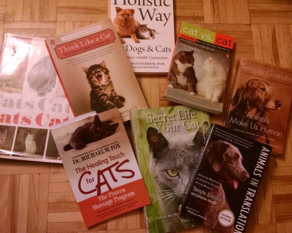 black cats, cat rescue, Cats in Toronto, Adopt dont Shop, Caturday, Cats Are Family, Little Lions, Cats of the Internet, Lets Talk About Your Cat, Purr and Roar, Catruday, Black cats are awesome, Toronto Cats, Adopt black cats, Cats as teachers, 