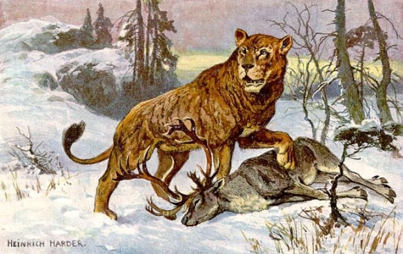 Cave Lions, Extinct Lions, Siberia, Russia, academy of Sciences of Yakutia, Pleistocene animals, big cats, Panthera spelaea (Goldfuss), Fossils, lion cubs, Prehistoric big cats, Scientific discovery