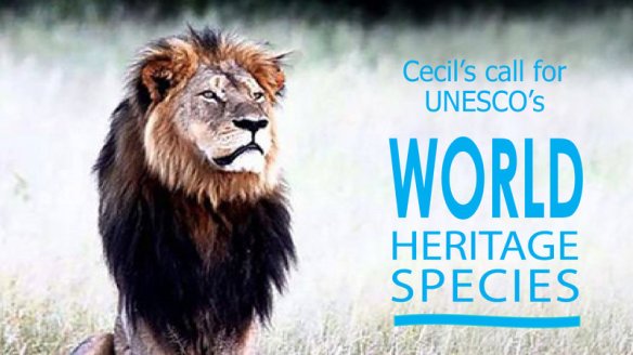 Join Cecil the Lion in his call to UN/UNESCO to establish "World Heritage Species" program, Save Lions, Ban Trophy Hunting, Ban Canned Hunting, Save big cats, save wildlife, Africa, Zimbabwe, Cecil, Cecil the Lion, Compassionate conservation, be the change, UNESCO, Petition