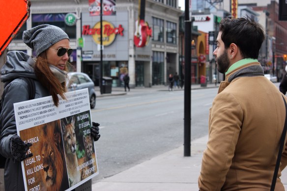Cecil the lion, Rally for Cecil, Worldwide rally for cecil, rally to ban sport hunting, rally to ban trophy hunting, save lions, year of the lion, save big cats, save mountain lions, Big cats in Canada, Big cats in USA, killing is not conservation, Toronto