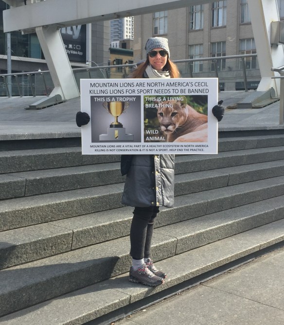 Cecil the lion, Rally for Cecil, Worldwide rally for cecil, rally to ban sport hunting, rally to ban trophy hunting, save lions, year of the lion, save big cats, save mountain lions, Big cats in Canada, Big cats in USA, killing is not conservation, Toronto, North American Lion, Americas Lion, American Lion,