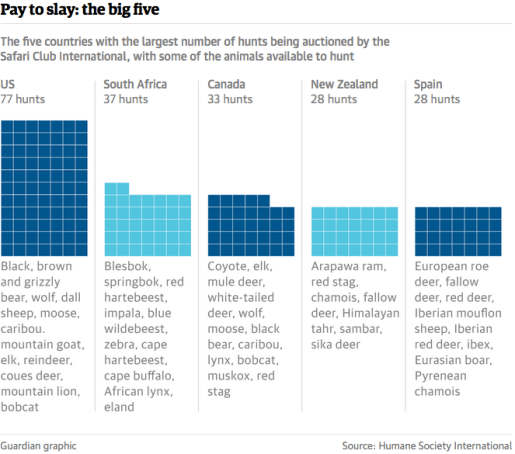 Cecil the lion, Rally for Cecil, Worldwide rally for cecil, rally to ban sport hunting, rally to ban trophy hunting, save lions, year of the lion, save big cats, save mountain lions, Big cats in Canada, Big cats in USA, killing is not conservation, Toronto