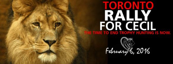 Cecil the lion, Rally for Cecil, Worldwide rally for cecil, rally to ban sport hunting, rally to ban trophy hunting, save lions, year of the lion, save big cats, save mountain lions, Big cats in Canada, Big cats in USA, killing is not conservation, 