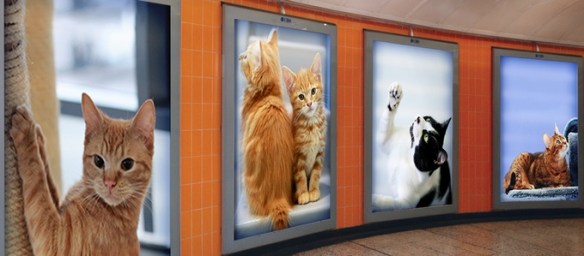Citizens Advertising Takeover Service (C.A.T.S), London, UK, London Tube, Subway art, Posters in the London Tube, Cats, Advertising, stray cats, adoptable cats, Kickstarter,