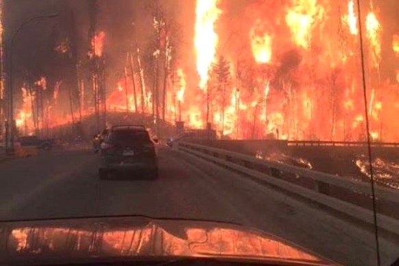 Alberta, Fort McMurray, Wildfires, Pet rescue, climate change, cat rescue, animal rescue, Canada, Natural disasters,