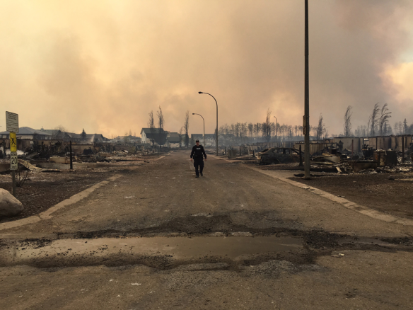 Alberta, Fort McMurray, Wildfires, Pet rescue, climate change, cat rescue, animal rescue, Canada, Natural disasters, Fort McMurray Animal Rescue, cats, dogs, Fort McMurray Fire Emergency Animal Assistance
