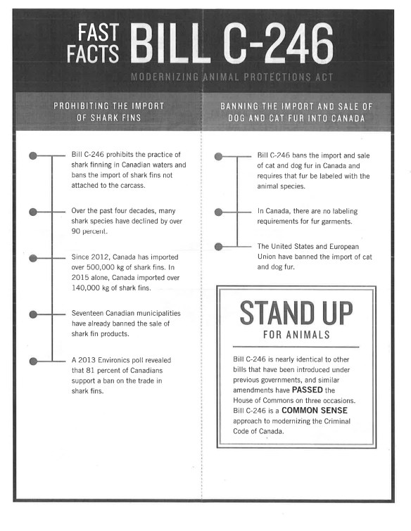 Canada, Animal Welfare, Animal Rights, Bill C246, Modernize Animal Welfare, shark fins, cat and dog fur, animal cruelty, Animal Alliance of Canada