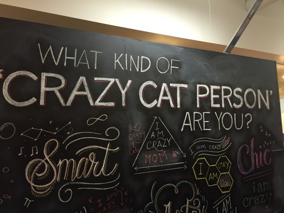 Cat Con LA, LA, Cats , Cats of the internet, cat people, convention for cat lovers, cats in art, cat ladies, cat men, events for cat lovers, famous internet cats